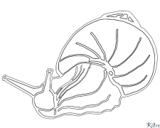 snail Coloring Pages To Print